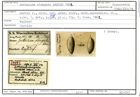 Karteikarte zum Syntyp von Guttulina elongata Karrer, 1862